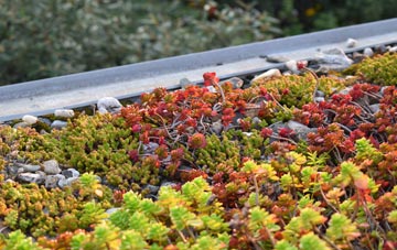 the cost of Fridaythorpe green roof installation