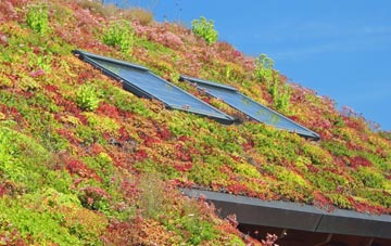 Fridaythorpe living roof systems